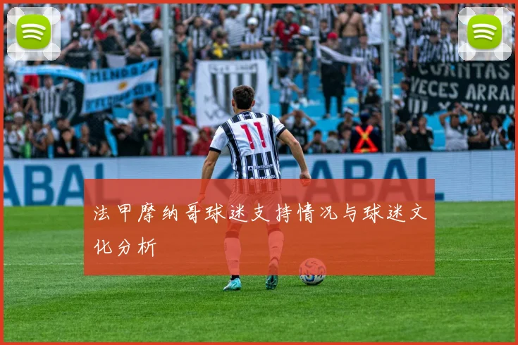 法甲摩纳哥球迷支持情况与球迷文化分析