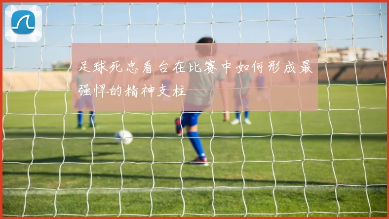 足球死忠看台在比赛中如何形成最强悍的精神支柱