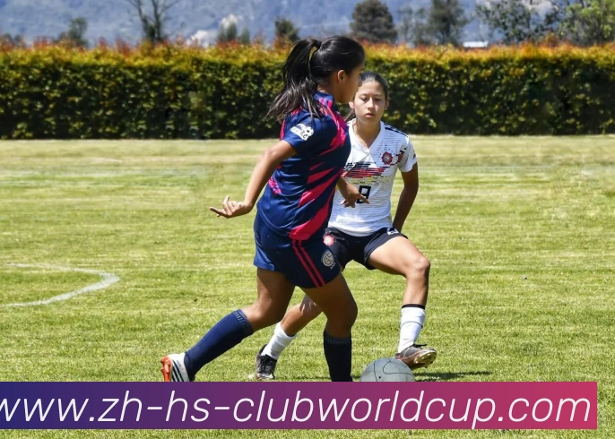 世界杯官网平台生态图